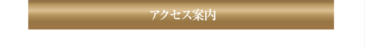 静岡中央クリニックへのアクセス案内